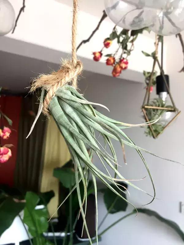 室内设计师都是怎么装修自己的家的？